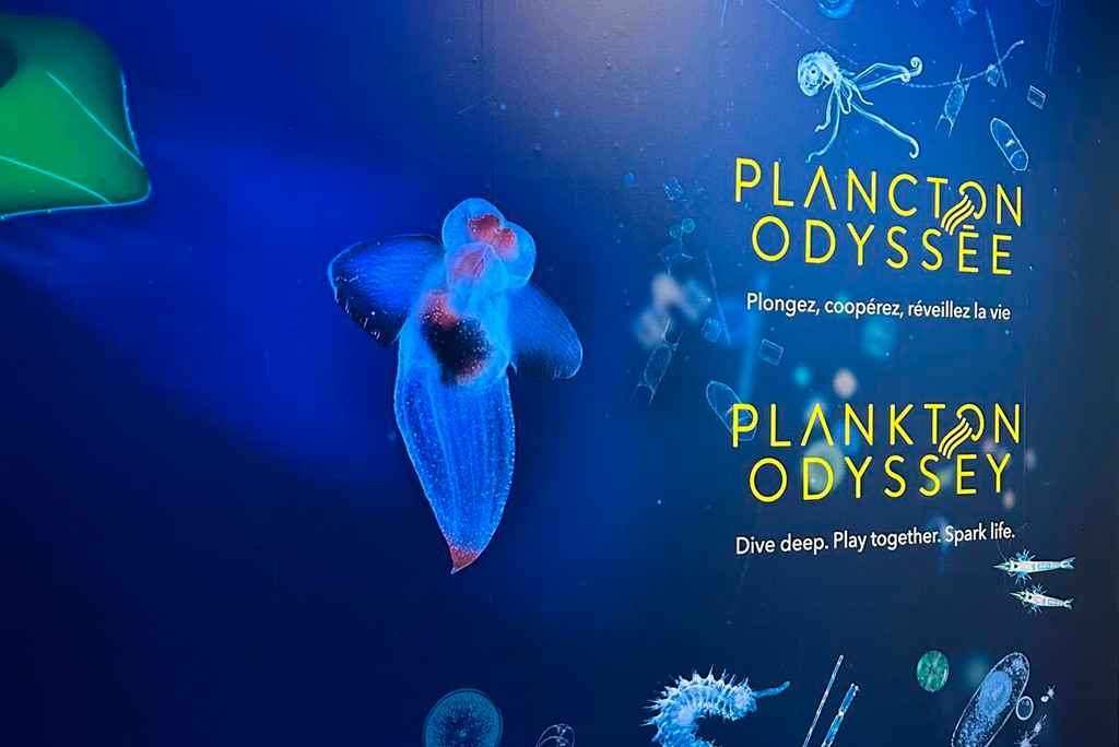 plancton_odyssée_1